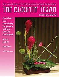 February 2013 Issue