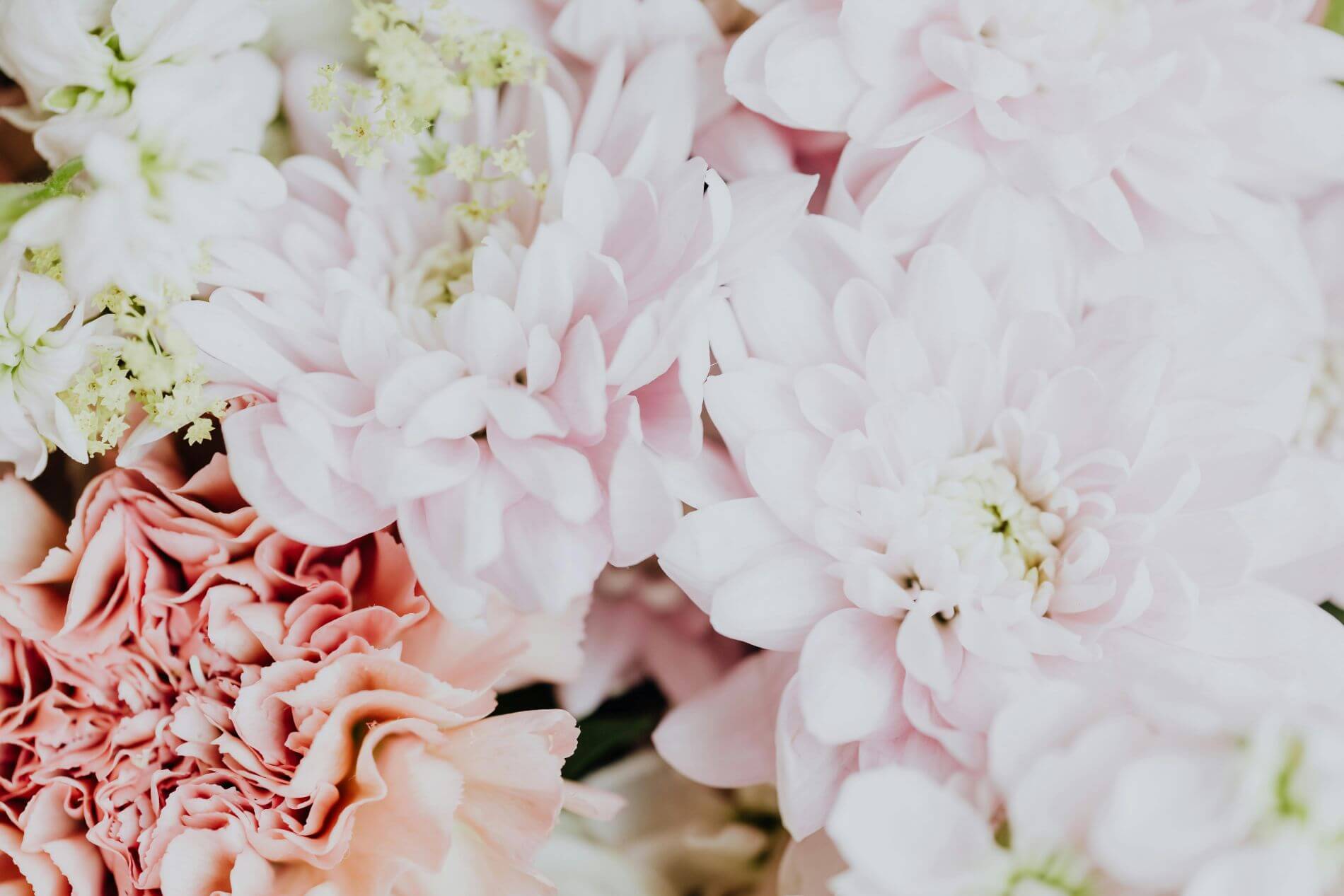 Home - Texas State Florist Association
